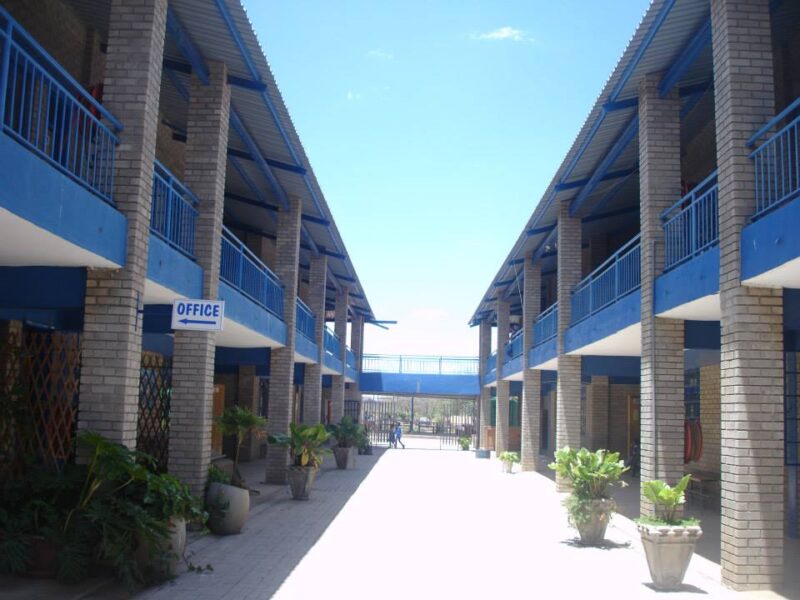 Blue Bows International School